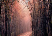 西甲最新积分战报 马竞退出争冠?姆巴佩2球 皇马胜弱旅追上巴萨.