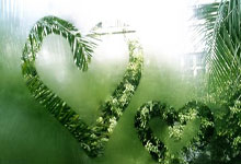 雷速体育:英超:纽卡斯尔以1比0 击败阿申纳.