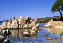 善打一波流!本赛季球队至少15-0攻击波次数榜:雷霆15次断档第一.